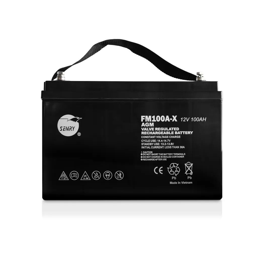 Senry 100Ah 12V Deep Cycle Rechargeable Battery for Back-Up Power Solutions