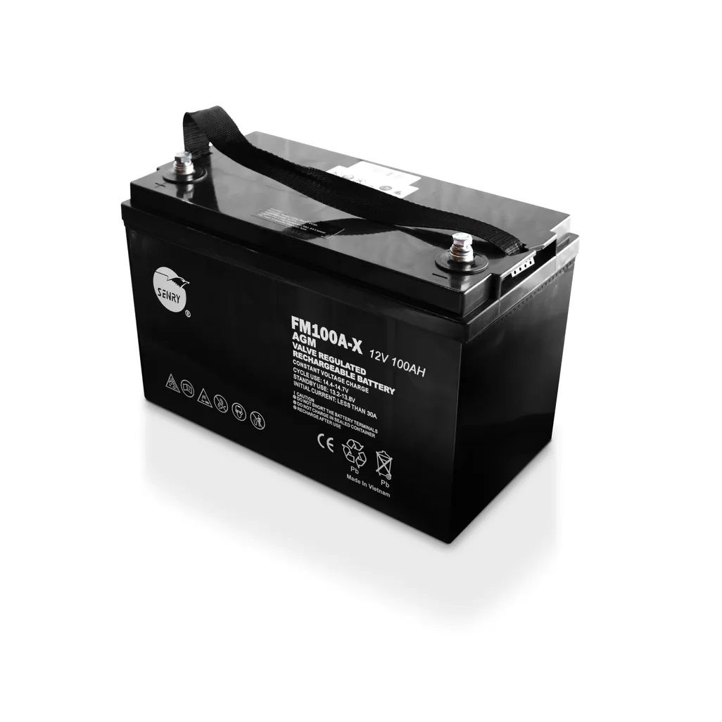 Senry 100Ah 12V Deep Cycle Rechargeable Battery for Back-Up Power Solutions